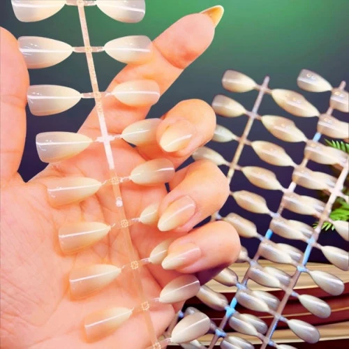 artificial press-on nail tips 5set 5 colour