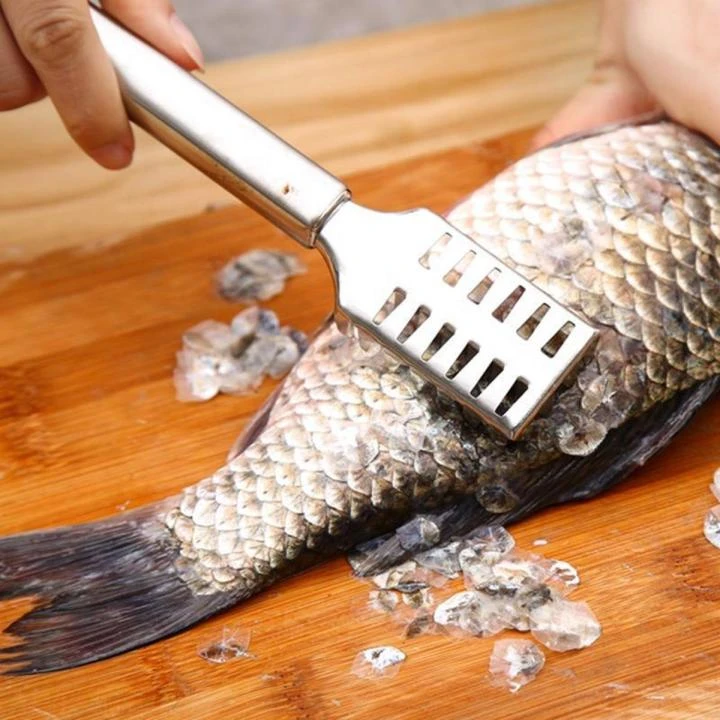 Stainless Steel Fish Scale Cleaner